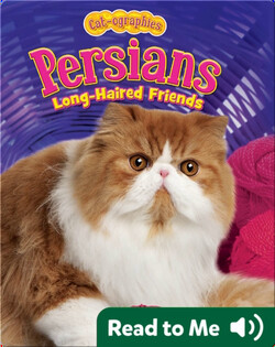 Persians: Long-Haired Friends