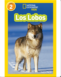 National Geographic Readers: Los Lobos (Wolves)