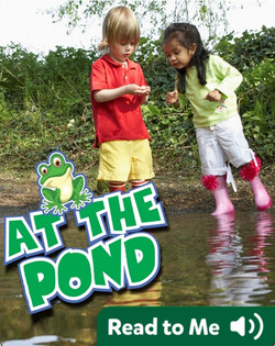 At The Pond