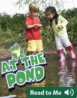 At The Pond