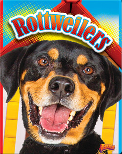 Rottweilers