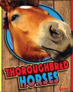 Thoroughbred Horses