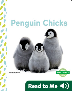 Penguin Chicks