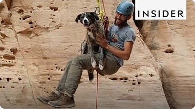 Adventure Dogs