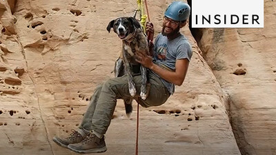 Adventure Dogs