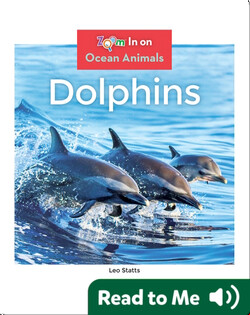 Dolphins