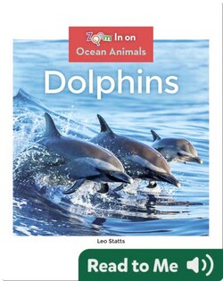 Dolphins