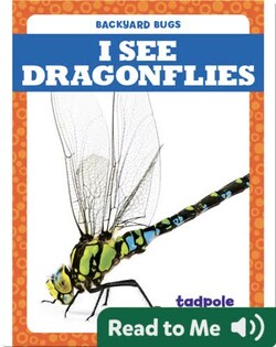 I See Dragonflies