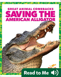 Saving the American Alligator