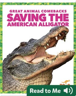 Saving the American Alligator