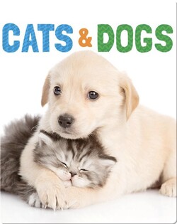 Cats & Dogs