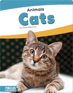 Animals: Cats