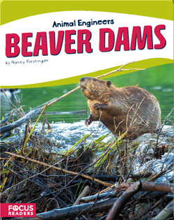 Animal Engineers: Beaver Dams
