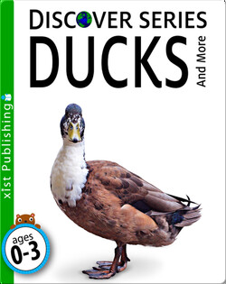 Ducks