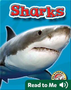 Sharks: Oceans Alive