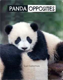 Panda Opposites