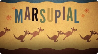 Marsupial