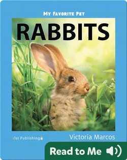 My Favorite Pet: Rabbits