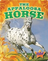 The Appaloosa Horse
