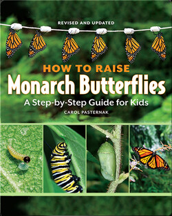 How to Raise Monarch Butterflies: A Step-by-Step Guide for Kids