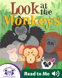 Look at the Monkeys