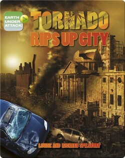 Tornado Rips Up City
