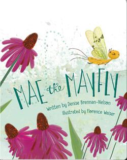 Mae the Mayfly