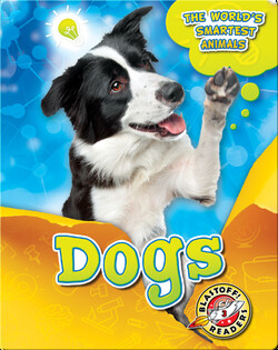 The World's Smartest Animals: Dogs
