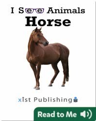 I See Animals: Horse