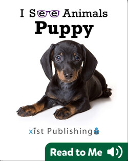 I See Animals: Puppy