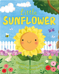 Little Sunflower