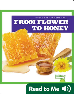 Where Does It Come From?: From Flower to Honey