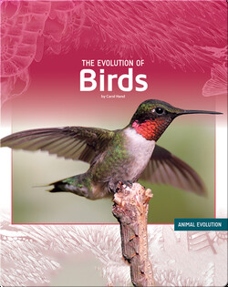 The Evolution of Birds