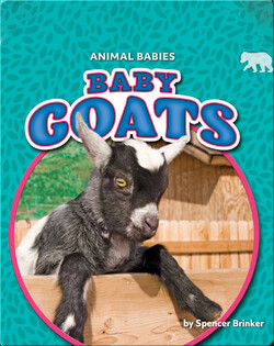 Animal Babies: Baby Goats