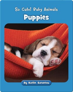 So Cute! Baby Animals Puppies