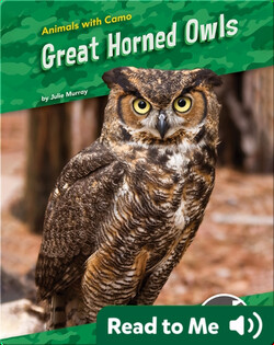 Animals with Camo: Great Horned Owls