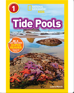 National Geographic Readers: Tide Pools