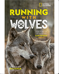 Running with Wolves: Our Story of Life with the Sawtooth Pack