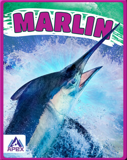 Giants of the Sea: Marlin