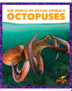 The World of Ocean Animals: Octopuses