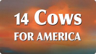 14 Cows for America