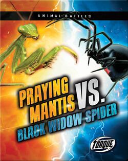 Animal Battles: Praying Mantis vs. Black Widow Spider