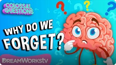 Colossal Questions: Why Do We Forget Things?