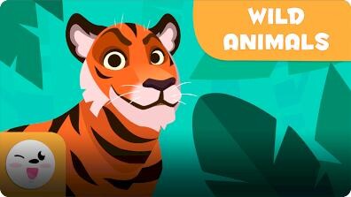 Animal Vocabulary: Wild Animals