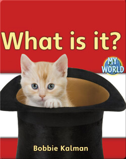 What Is It?