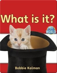 What Is It?