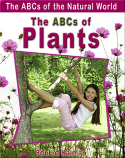 The ABCs of Plants