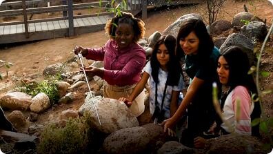 Fast Forward Girls: The GEM Sisters Lasso Lizards at the Biosphere2