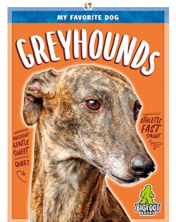 My Favorite Dog: Greyhounds