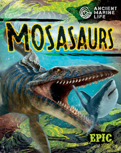 Ancient Marine Life: Mosasaurs